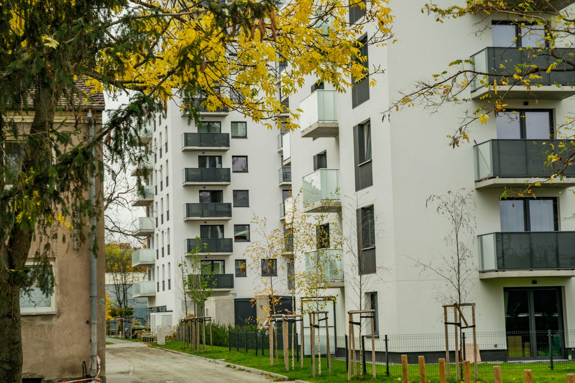 pexels-shox-29174528